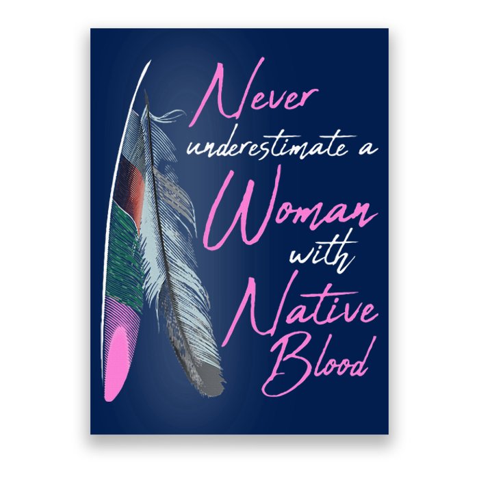 Native American A Woman With Native Blood American Poster