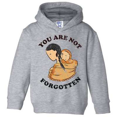 Native American Day Pride Indigenous Toddler Hoodie