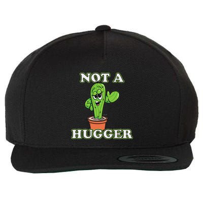 Not A Hugger Personal Boundaries Introvert Warning Wool Snapback Cap