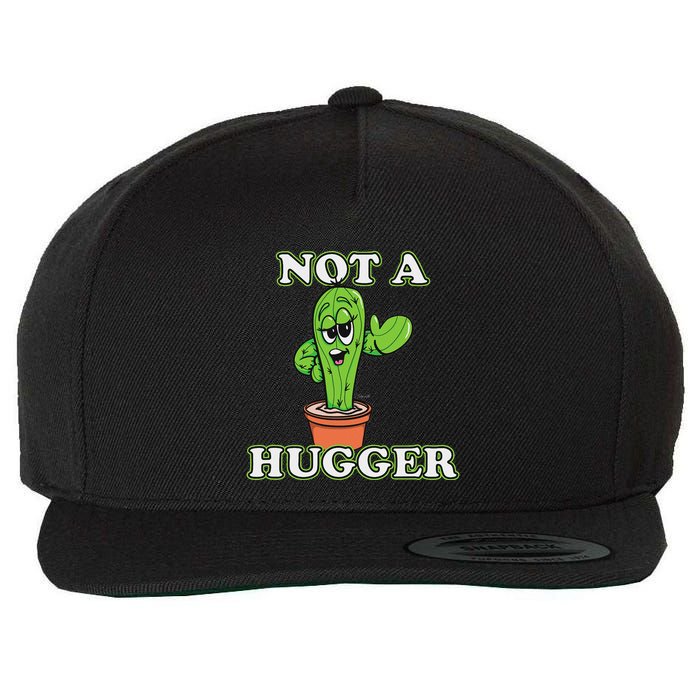 Not A Hugger Personal Boundaries Introvert Warning Wool Snapback Cap
