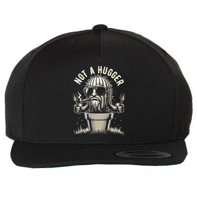 Not A Hugger Funny Vintage Cactus Sarcastic Wool Snapback Cap