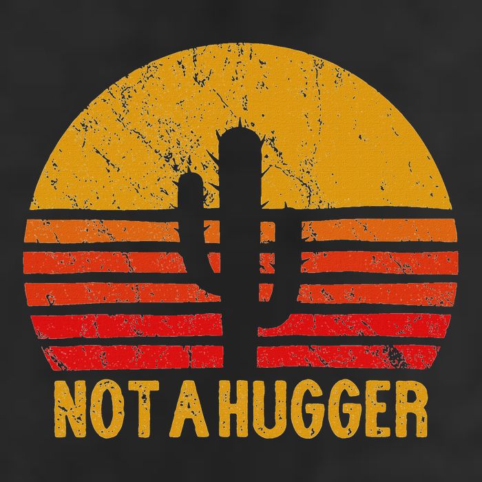 Not A Hugger Cactus Funny Introvert Retro Sunset Knit Cap Winter Beanie