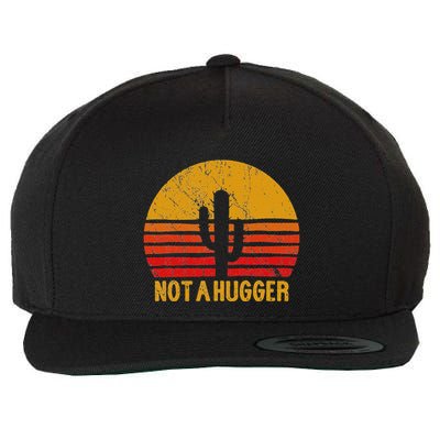 Not A Hugger Cactus Funny Introvert Retro Sunset Wool Snapback Cap