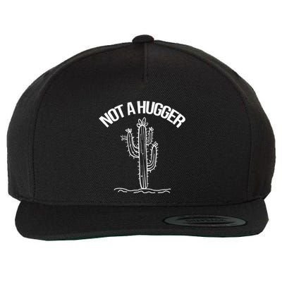 Not A Hugger Funny Vintage Cactus Sarcastic Wool Snapback Cap