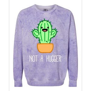 Not A Hugger Cactus Cute Kawaii Do Not Hug Meme Funny Gift Colorblast Crewneck Sweatshirt