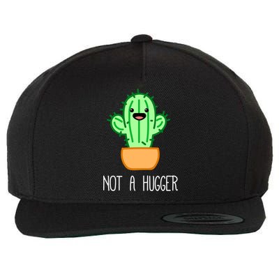 Not A Hugger Cactus Cute Kawaii Do Not Hug Meme Funny Gift Wool Snapback Cap