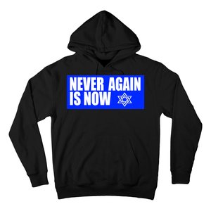 Never Again Is Now Jewish Israel Pride Am Yisrael Chai Hoodie