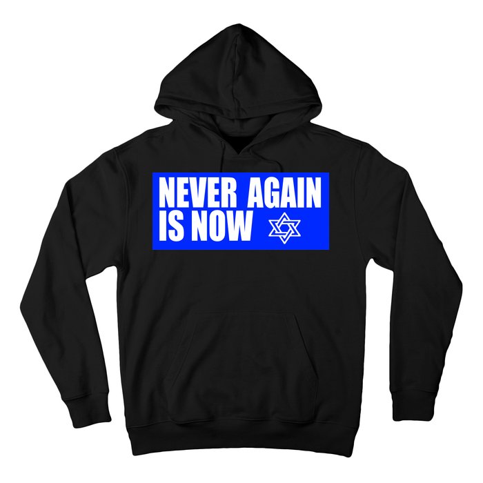 Never Again Is Now Jewish Israel Pride Am Yisrael Chai Hoodie