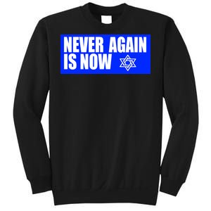 Never Again Is Now Jewish Israel Pride Am Yisrael Chai Sweatshirt