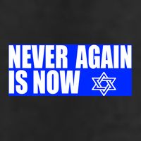 Never Again Is Now Jewish Israel Pride Am Yisrael Chai Beanie