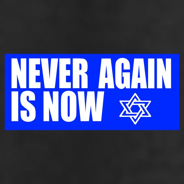 Never Again Is Now Jewish Israel Pride Am Yisrael Chai Beanie