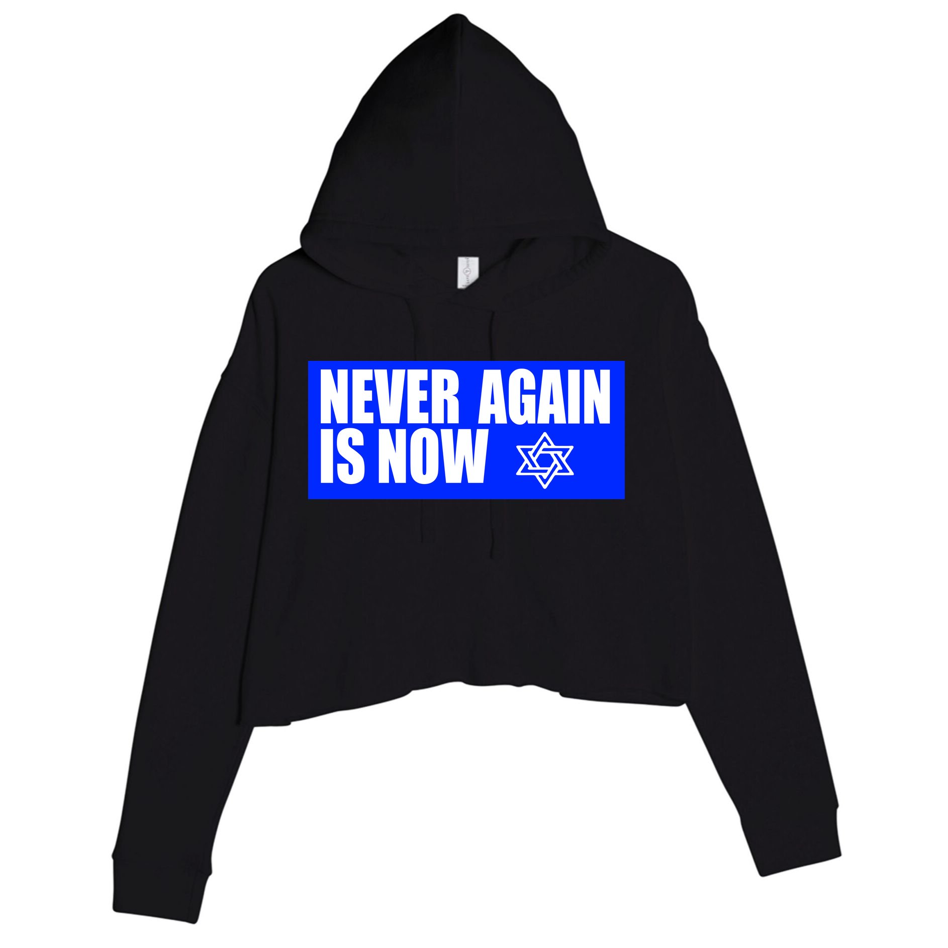 Never Again Is Now Jewish Israel Pride Am Yisrael Chai Crop Fleece Hoodie
