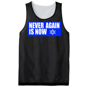 Never Again Is Now Jewish Israel Pride Am Yisrael Chai Mesh Reversible Basketball Jersey Tank