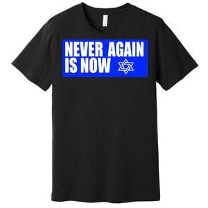 Never Again Is Now Jewish Israel Pride Am Yisrael Chai Premium T-Shirt