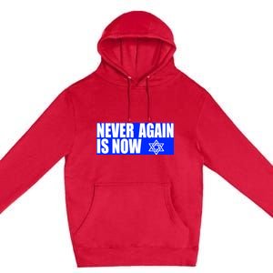 Never Again Is Now Jewish Israel Pride Am Yisrael Chai Premium Pullover Hoodie