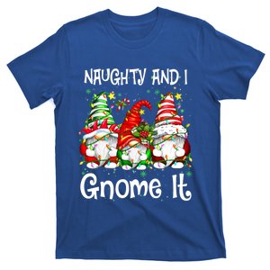 Naughty And I Gnome It Christmas Gnomes Funny Xmas Great Gift T-Shirt