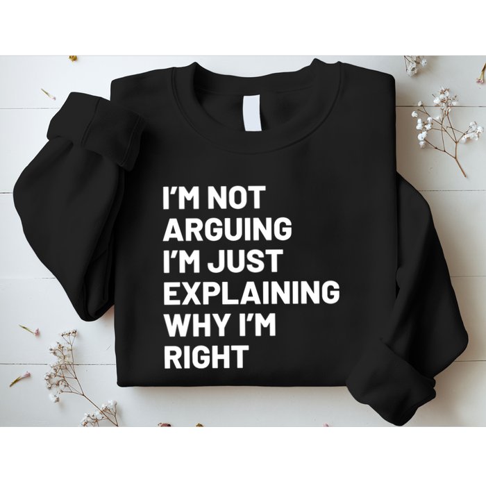 Not Arguing Im Just Explaining Why Im Right Sweatshirt