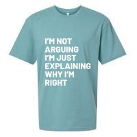 Not Arguing Im Just Explaining Why Im Right Sueded Cloud Jersey T-Shirt