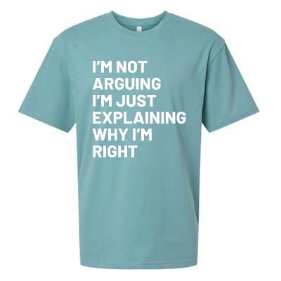 Not Arguing Im Just Explaining Why Im Right Sueded Cloud Jersey T-Shirt