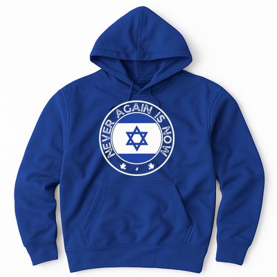 Never Again Is Now  Support for Jews and Israel  Hoodie