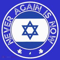 Never Again Is Now  Support for Jews and Israel  T-Shirt