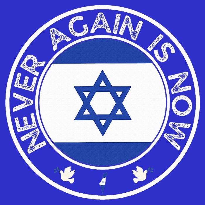 Never Again Is Now  Support for Jews and Israel  16 in Basic Backpack