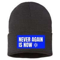 Never Again Is Now Jewish Israel Pride Am Yisrael Chai Sustainable Knit Beanie