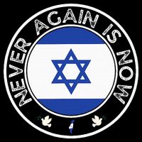 Never Again Is Now Support For Jews And Israel Sustainable Bucket Hat