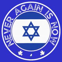 Never Again Is Now Support For Jews And Israel Baby Bodysuit