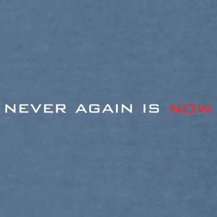 Never Again Is Now Support For Jews And Israel Garment-Dyed Sweatshirt