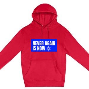 Never Again Is Now Jewish Israel Pride Am Yisrael Chai Premium Pullover Hoodie