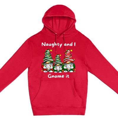 Naughty And I Gnome It Christmas Family Matching Pjs Gnome Premium Pullover Hoodie