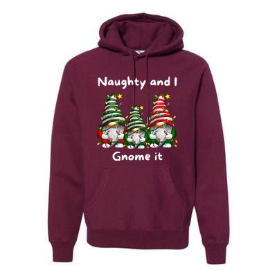 Naughty And I Gnome It Christmas Family Matching Pjs Gnome Premium Hoodie