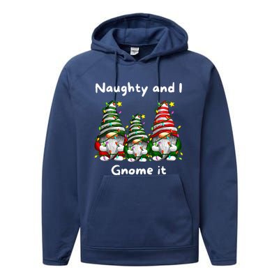 Naughty And I Gnome It Christmas Family Matching Pjs Gnome Performance Fleece Hoodie