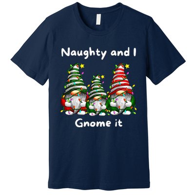 Naughty And I Gnome It Christmas Family Matching Pjs Gnome Premium T-Shirt