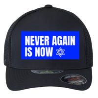 Never Again Is Now Jewish Israel Pride Am Yisrael Chai Flexfit Unipanel Trucker Cap