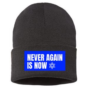 Never Again Is Now Jewish Israel Pride Am Yisrael Chai Sustainable Knit Beanie