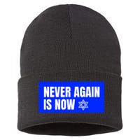 Never Again Is Now Jewish Israel Pride Am Yisrael Chai Sustainable Knit Beanie