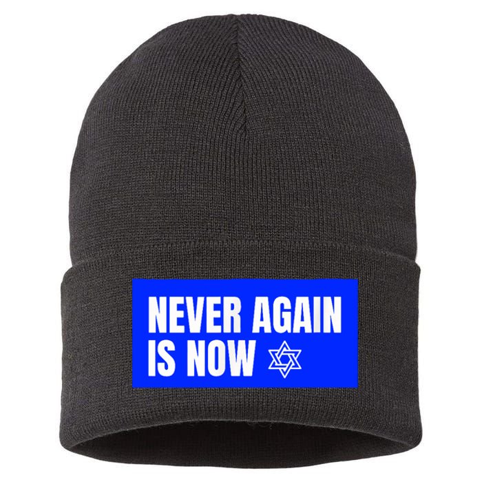 Never Again Is Now Jewish Israel Pride Am Yisrael Chai Sustainable Knit Beanie