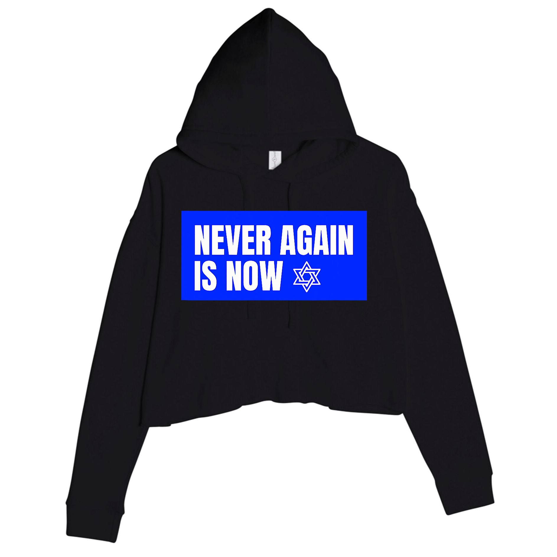 Never Again Is Now Jewish Israel Pride Am Yisrael Chai Crop Fleece Hoodie