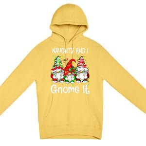 Naughty And I Gnome It Christmas Gnomes Funny Xmas Gift Premium Pullover Hoodie