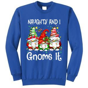 Naughty And I Gnome It Christmas Gnomes Funny Xmas Gift Sweatshirt