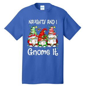 Naughty And I Gnome It Christmas Gnomes Funny Xmas Gift Tall T-Shirt