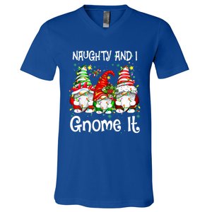 Naughty And I Gnome It Christmas Gnomes Funny Xmas Gift V-Neck T-Shirt