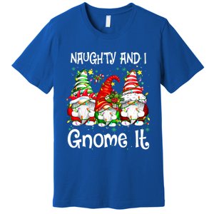 Naughty And I Gnome It Christmas Gnomes Funny Xmas Gift Premium T-Shirt