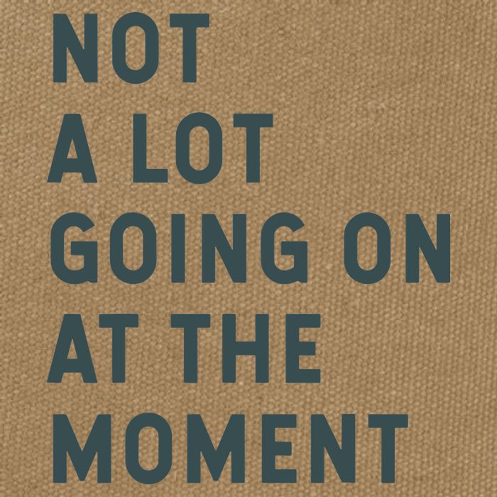 Not A Lot Going On At The Moment Humor Cotton Canvas Backpack