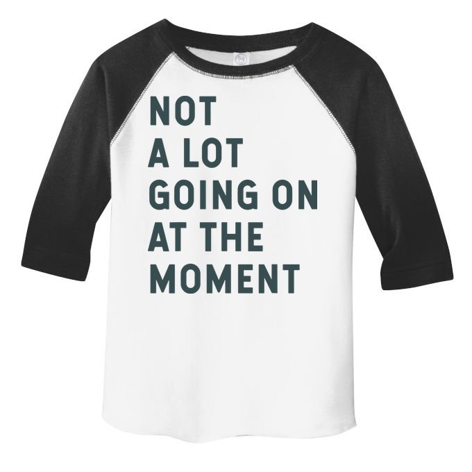 Not A Lot Going On At The Moment Humor Toddler Fine Jersey T-Shirt