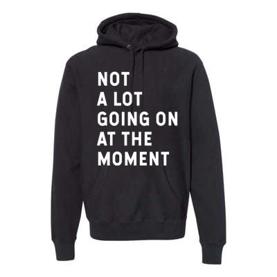 Not A Lot Going On At The Moment Humor Premium Hoodie