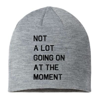 Not A Lot Going On At The Moment Humor Sustainable Beanie