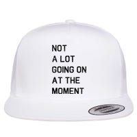 Not A Lot Going On At The Moment Humor Flat Bill Trucker Hat